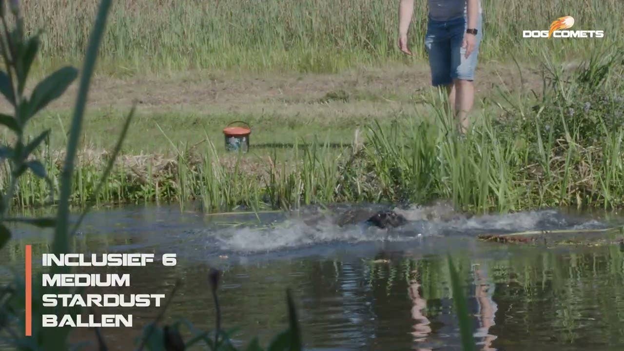 Dog Comets Meteor Shower