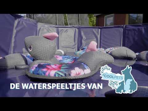 CoolPets Pull me! Sharky (Flower)