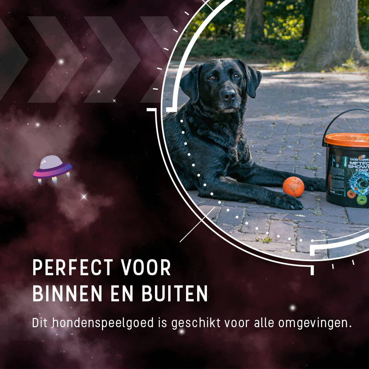 Dog Comets Meteor Shower