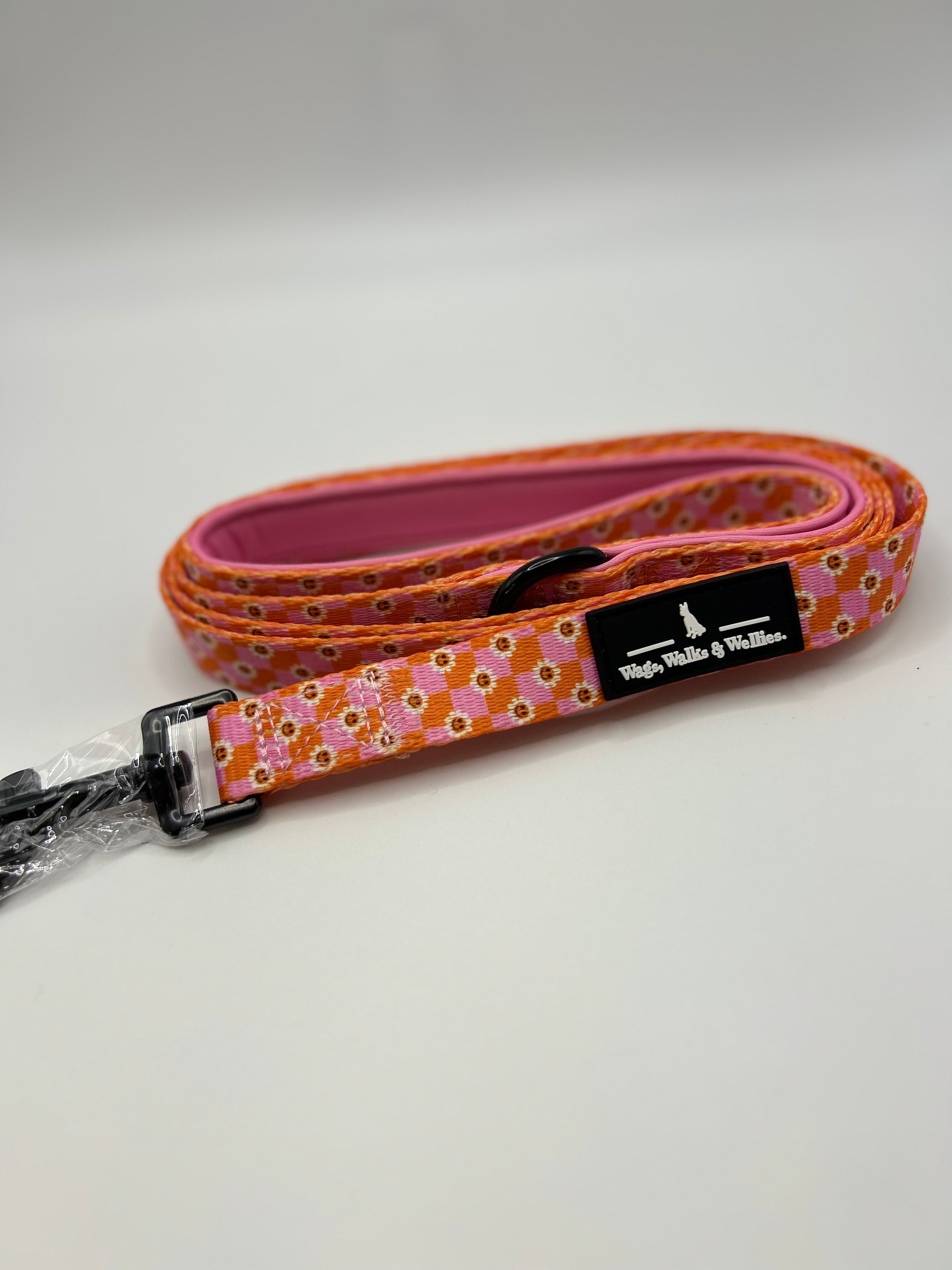 Never a phase Leash