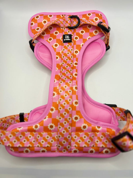 Never A Phase- Pink and orange