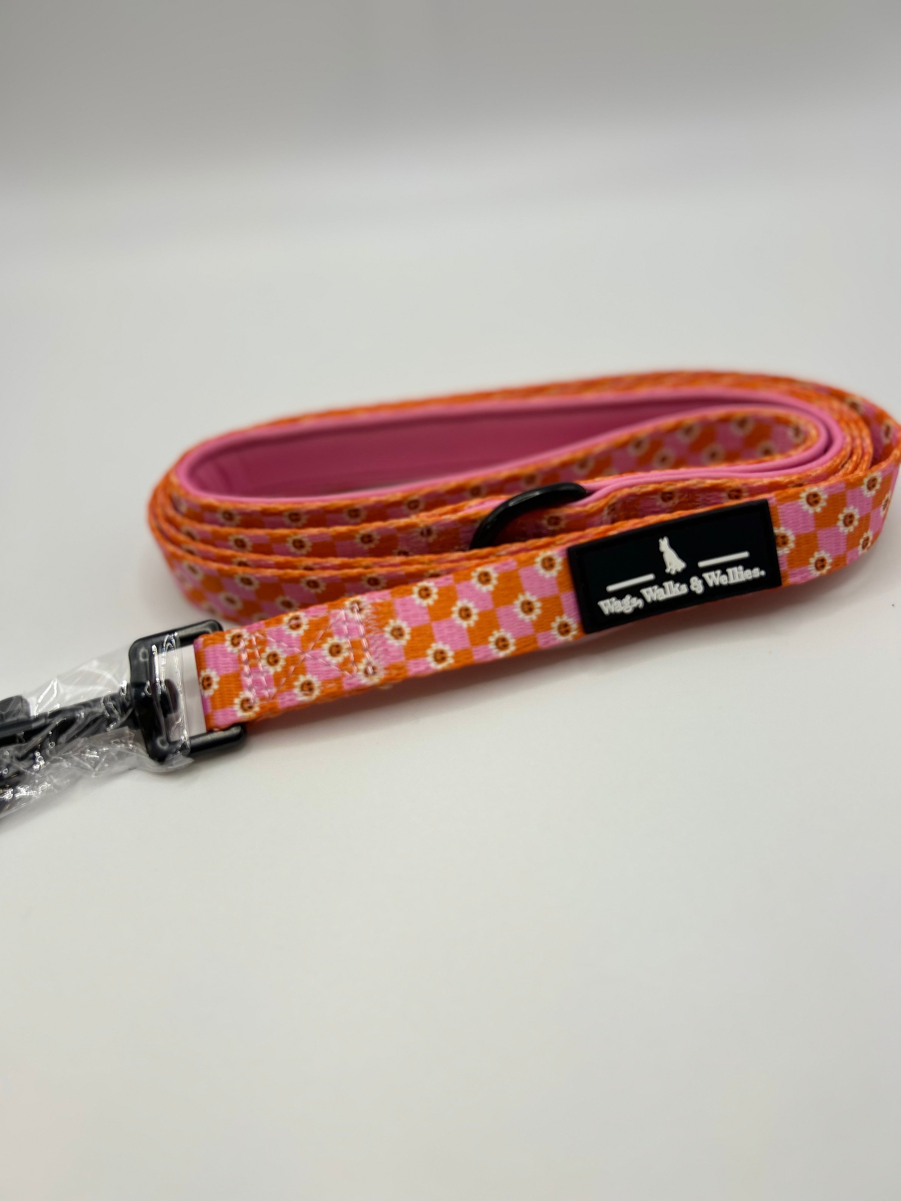 Never a phase Leash