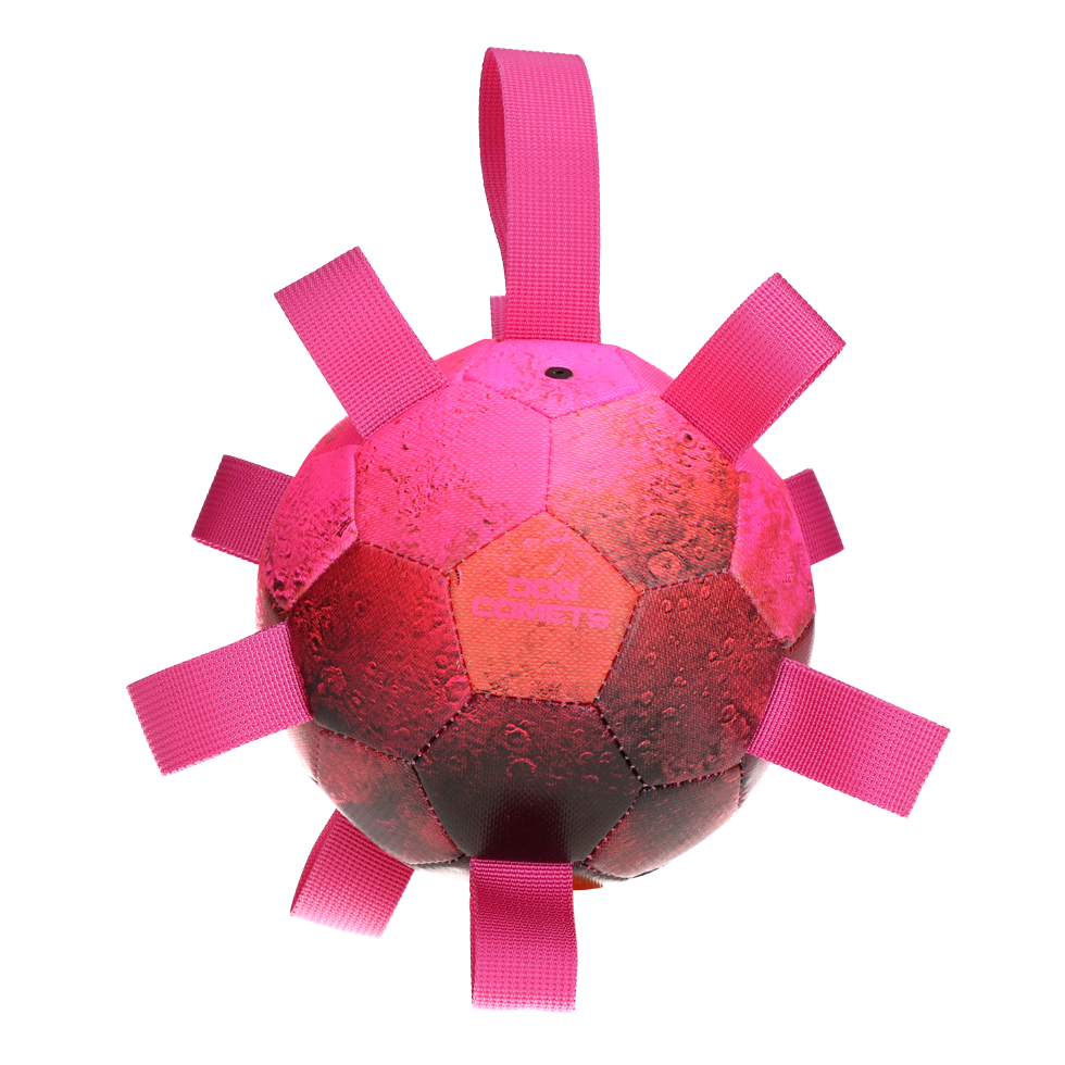Dog Comets Hypernova Pink: Pink